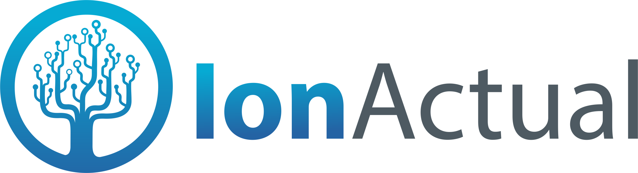 Ion Actual, LLC